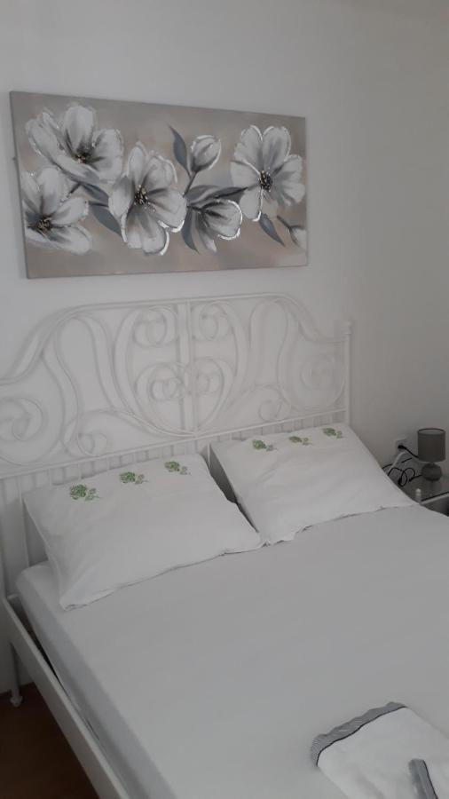זאטון Vesna - Your Best Choice - 80 M From Beach מראה חיצוני תמונה