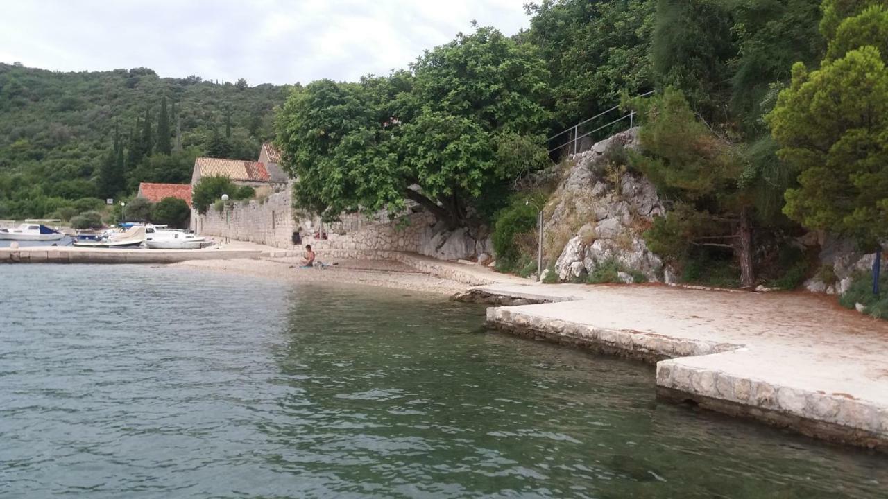 זאטון Vesna - Your Best Choice - 80 M From Beach מראה חיצוני תמונה