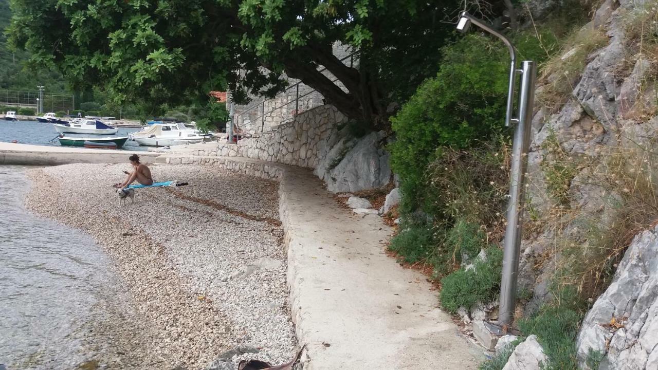 זאטון Vesna - Your Best Choice - 80 M From Beach מראה חיצוני תמונה
